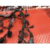 Faisceau électrique principale 