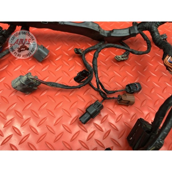 Faisceau électrique principale 