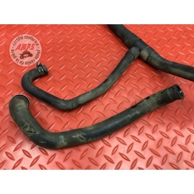 Kit de durite de refroidissement 