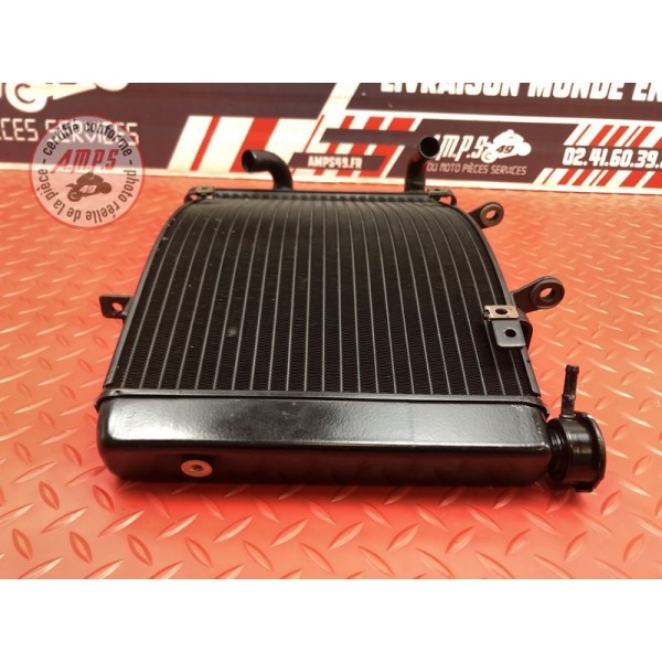 Radiateur d'eau Triumph Street Triple 675 R 2013 à 2016
