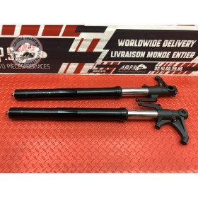 Paire de tube de fourche Triumph Street Triple 675 R 2013 à 2016