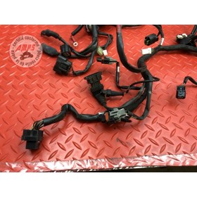 Faisceau électrique principale 