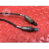 Sonde lambda Ducati 1200 Multistrada 2013 à 2014