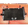 Radiateur d'eau 