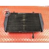 Radiateur d'eau 