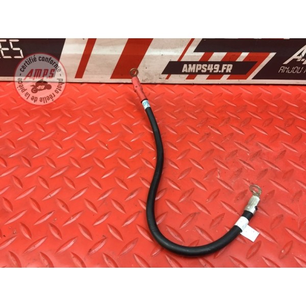 Cable de batterie Ducati 959 Panigale 2016 à 2019