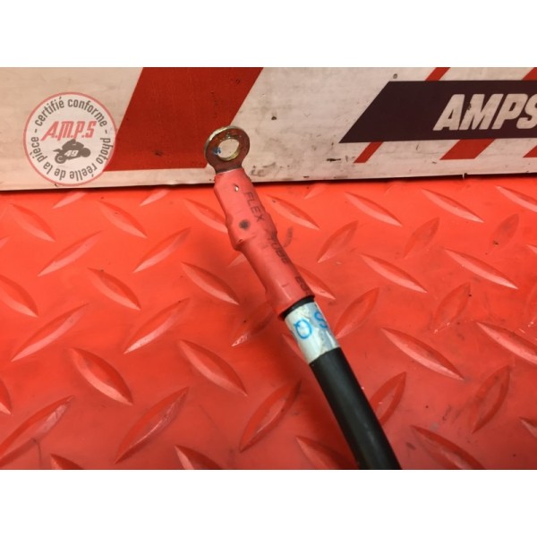 Cable de batterie Ducati 959 Panigale 2016 à 2019