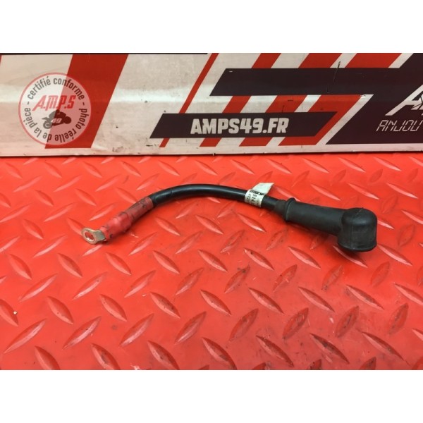 Cable de démarreur Ducati 959 Panigale 2016 à 2019