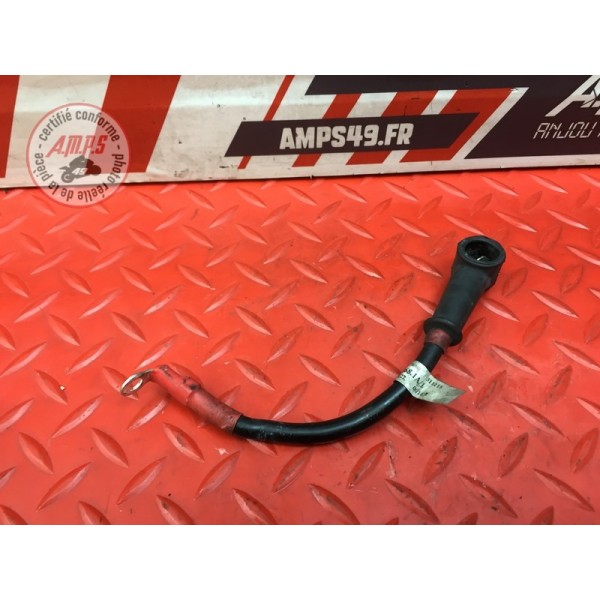 Cable de démarreur Ducati 959 Panigale 2016 à 2019