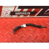 Cable de masse Ducati 959 Panigale 2016 à 2019