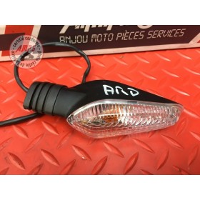 Clignotant arrière droit 