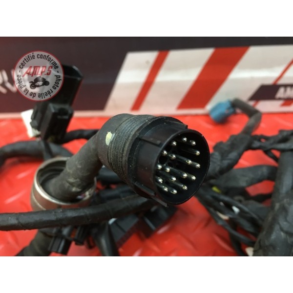 Faisceau électrique principale Ducati 959 Panigale 2016 à 2019