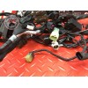 Faisceau électrique principale Ducati 959 Panigale 2016 à 2019