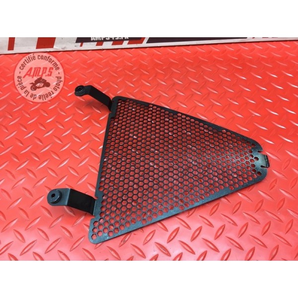 Grille de radiateur 