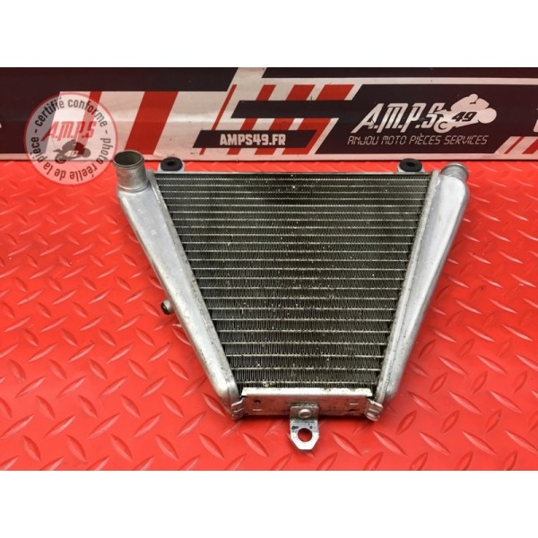 Radiateur d'eau inférieur 