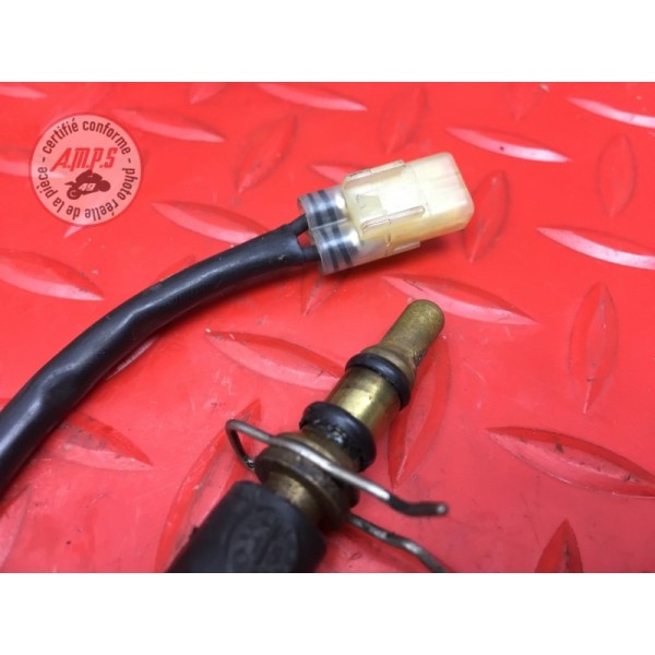 Sonde de température d'eau 
