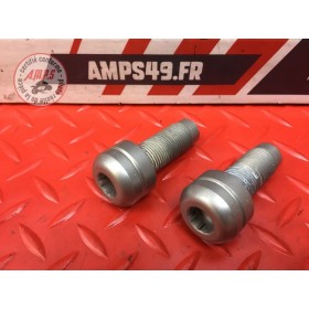 Paire d'embout de guidon d'origine Ducati 959 Panigale 2016 à 2019
