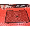 Grille de radiateur 