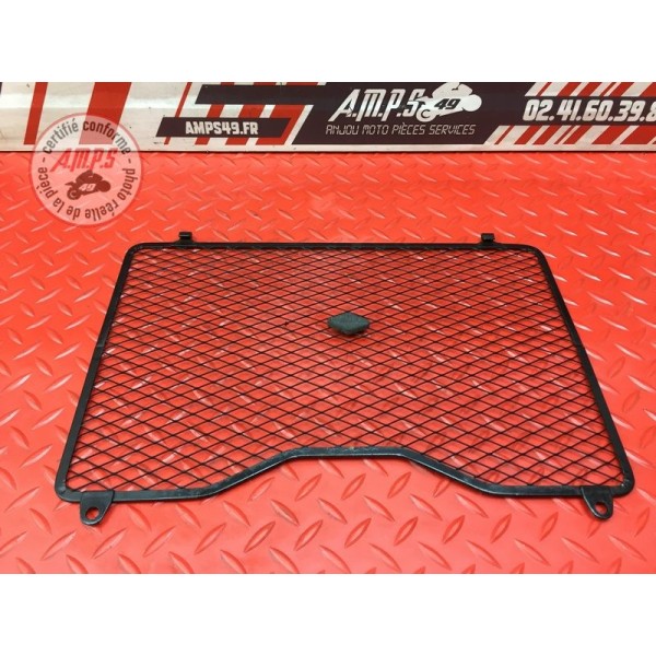Grille de radiateur 
