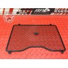 Grille de radiateur 