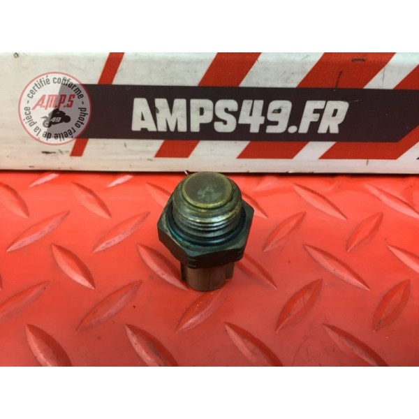 Sonde de radiateur 