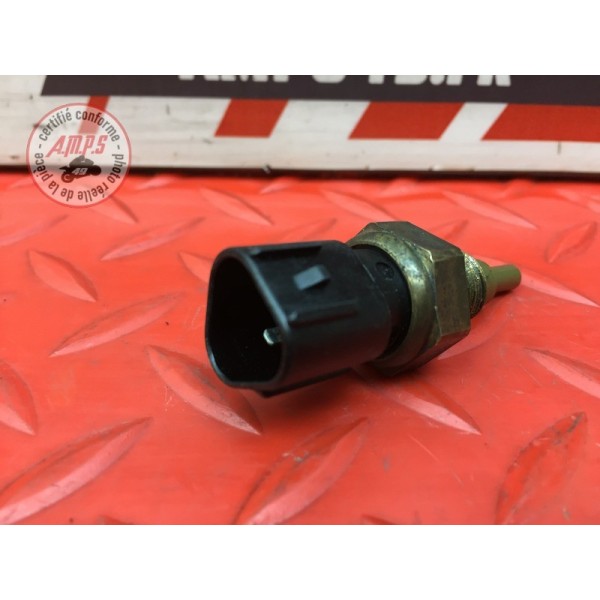 Sonde de température d'eau 