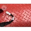 Cable de faisceau KTM 390 DUKE 2017 à 2023