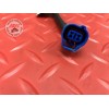 Cable de faisceau KTM 390 DUKE 2017 à 2023