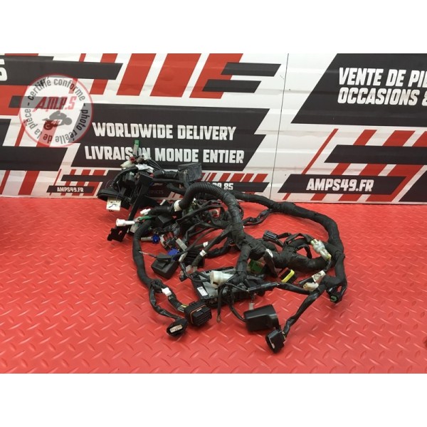 Faisceau électrique principale KTM 390 DUKE 2017 à 2023
