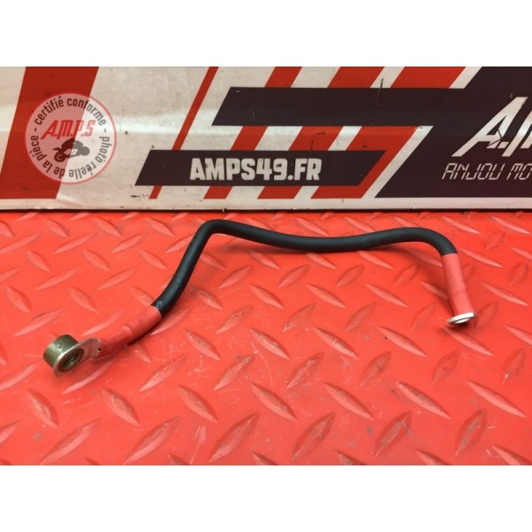 Cable de batterie 