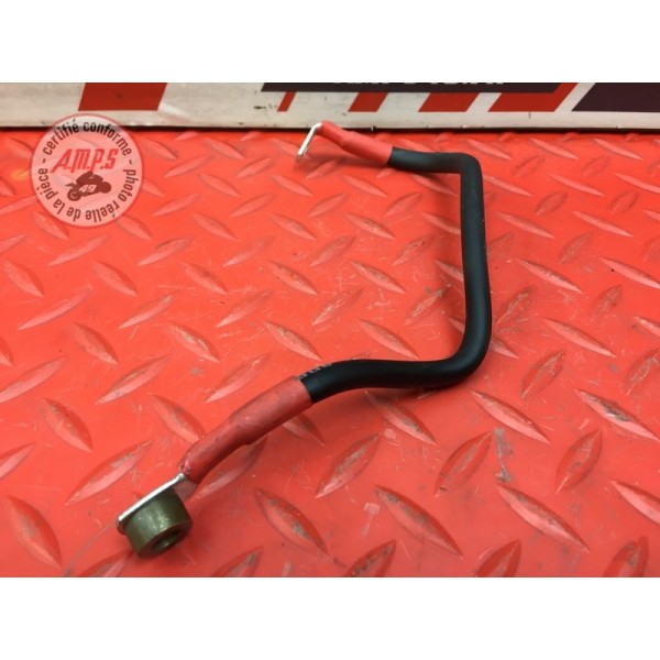 Cable de batterie 