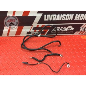 Cable de masse