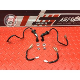 Paire Clignotants Rizoma