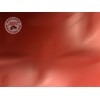 Support amortisseur Spider Ducati Panigale V2 2020 à 2022