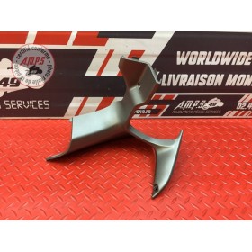 Entourage decompteur droit Honda CBR 1100 XX 1999 à 2007