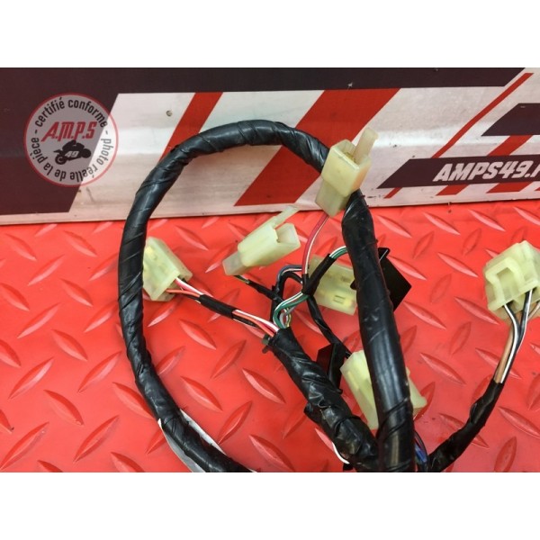Faisceau diagnostique Honda CBR 1100 XX 1999 à 2007