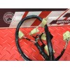 Faisceau diagnostique Honda CBR 1100 XX 1999 à 2007