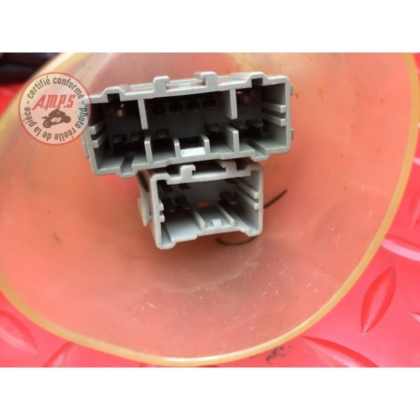 Faisceau diagnostique Honda CBR 1100 XX 1999 à 2007