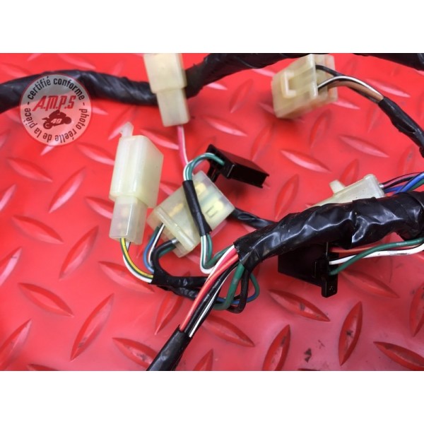 Faisceau diagnostique Honda CBR 1100 XX 1999 à 2007