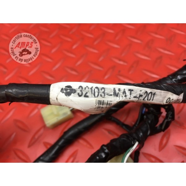 Faisceau diagnostique Honda CBR 1100 XX 1999 à 2007