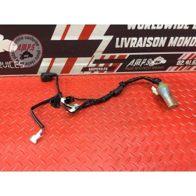 Faisceau électrique avant Honda CBR 1100 XX 1999 à 2007