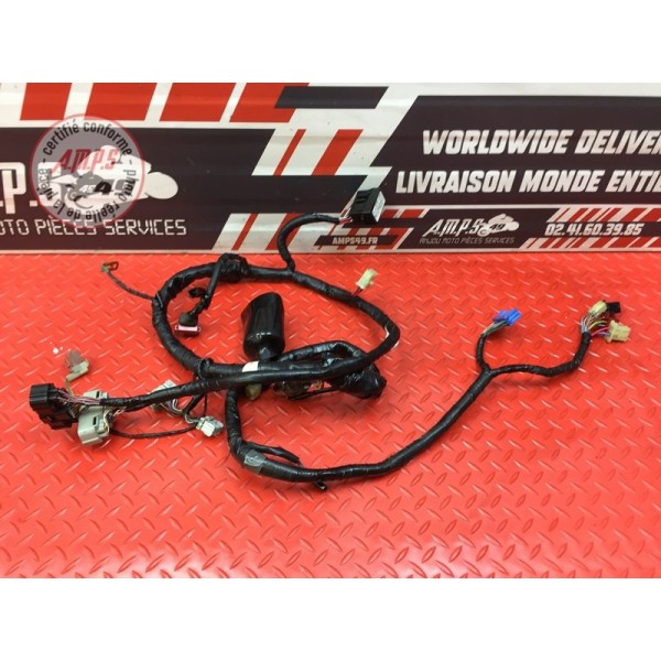 Faisceau électrique principale Honda CBR 1100 XX 1999 à 2007