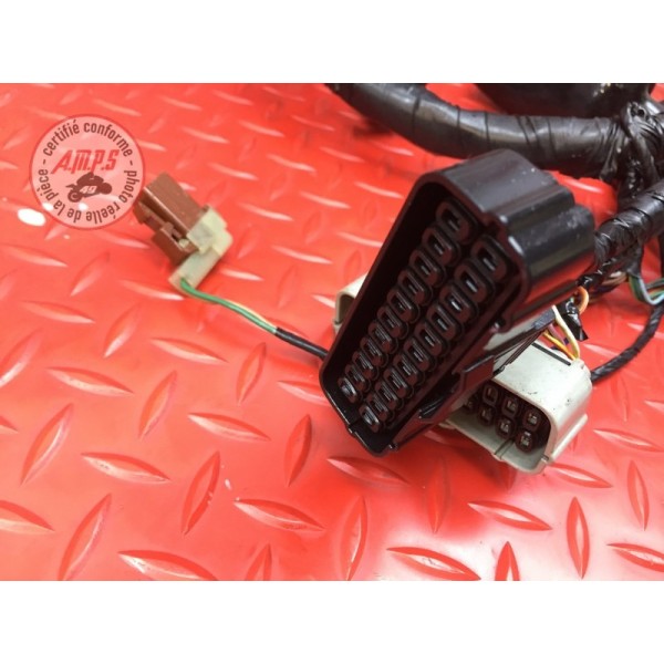 Faisceau électrique principale Honda CBR 1100 XX 1999 à 2007