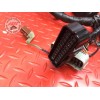 Faisceau électrique principale Honda CBR 1100 XX 1999 à 2007