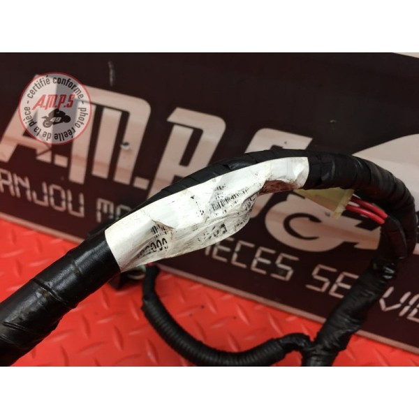 Faisceau électrique principale Honda CBR 1100 XX 1999 à 2007