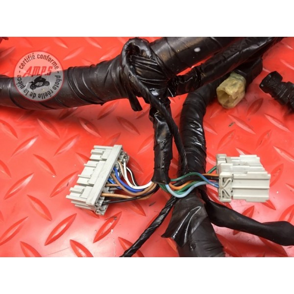 Faisceau électrique principale Honda CBR 1100 XX 1999 à 2007