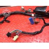 Faisceau électrique principale Honda CBR 1100 XX 1999 à 2007