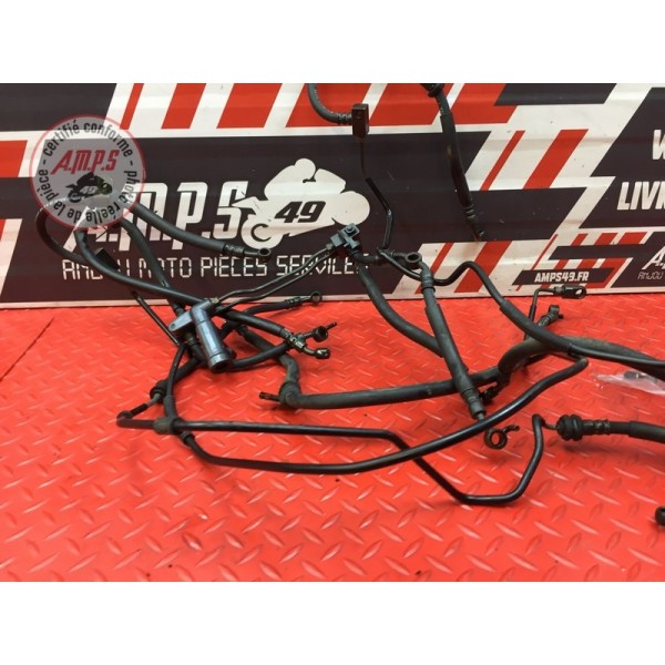 Kit de durite frein Dual complet Honda CBR 1100 XX 1999 à 2007