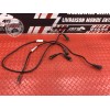 Cable de masse Ducati HM 796 Hypermotard 2010 à 2012