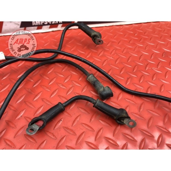 Cable de masse Ducati HM 796 Hypermotard 2010 à 2012